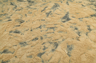 Fritz Balthaus: Floor Flour 2022 